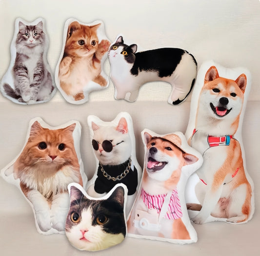 Custom Shaped Pillow