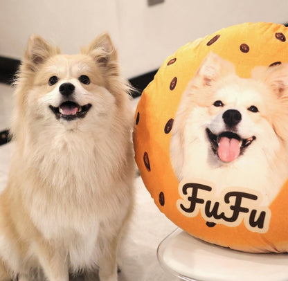Custom Shaped Pillow