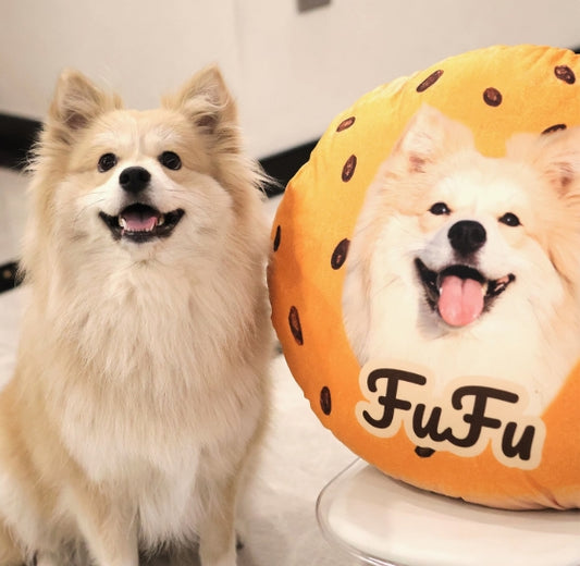 Custom Shaped Pillow